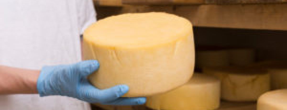 Maduración del queso