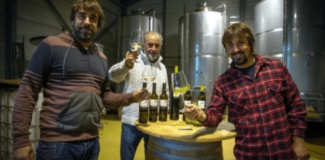 Bodegas Vidular