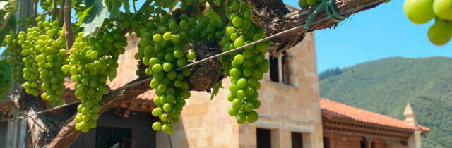 Bodega Cayo